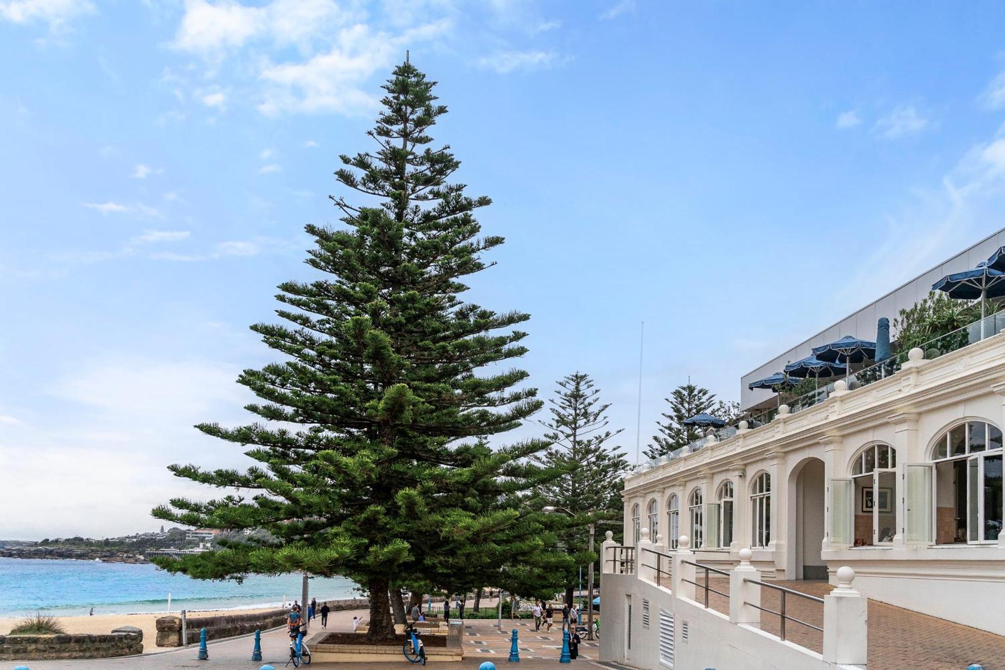 Modern 1Br Abode With Courtyard Steps To The Beach Sydney Zewnętrze zdjęcie